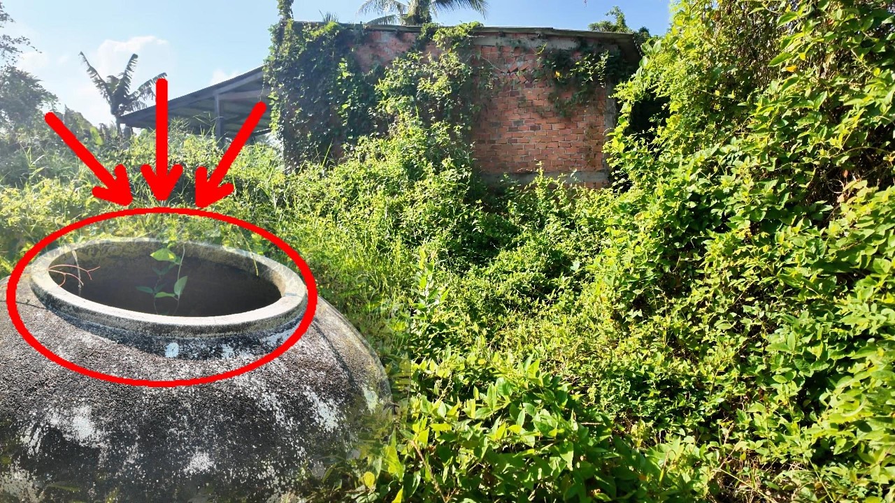 This Forgotten Water Tank Shocked Me!