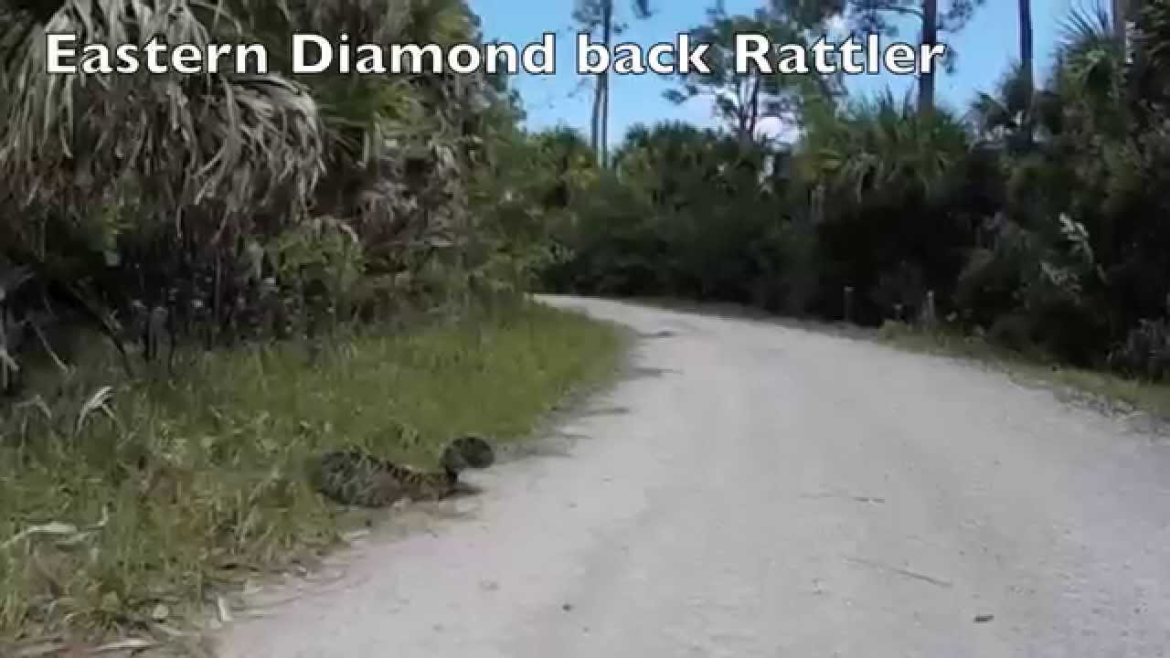 Bear Island Jeepin - YouTube