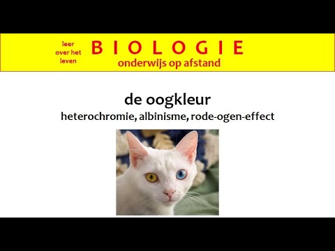 De oogkleur