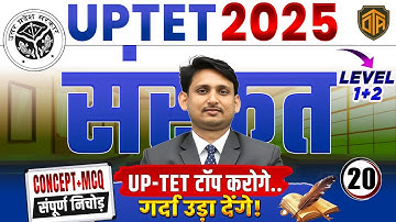 CTET / UPTET 2025 Sanskrit | Sanskrit Class by Avnessh Sir #upteachervacancy2025 #ctet #ctet2026
