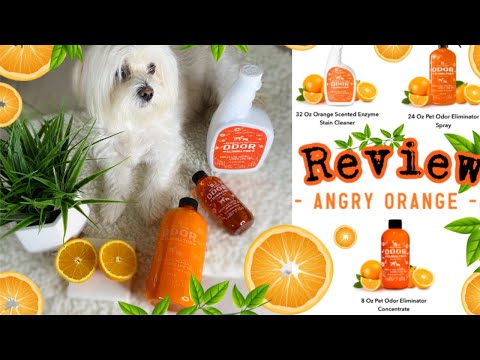 ANGRY ORANGE Pet Odor Eliminator, Urine Remover and Deodorizer, NON TOXIC I Lorentix