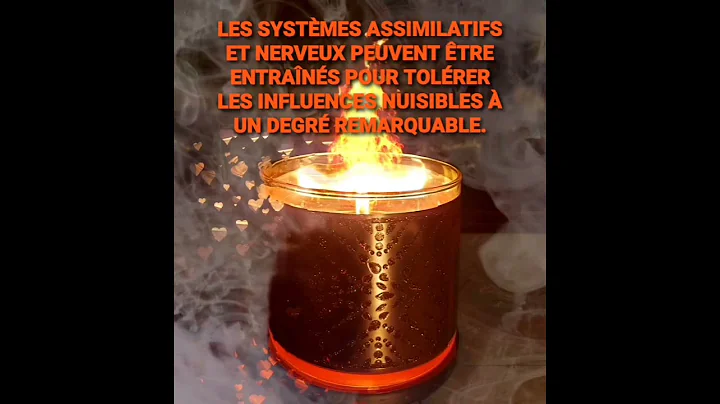 SYSTMES NERVEUX |  Alyssa Bouchard | #systemenerve...
