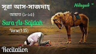 Beautiful Recitation Surah As-Sajdah verse(1-15) By Mohammad Ali.