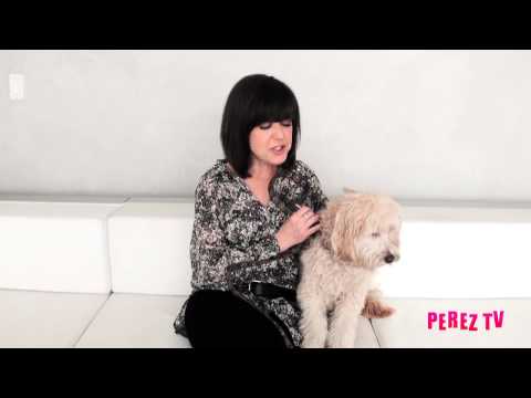 How To Reprimand Your Dog Properly! | Perez Hilton