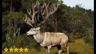 Red Deer Trophy- 5stars NZ