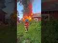 🔥🐝 Aednik Harri Poom lubab talve kasvuhoones üle elada, kui maja korda ei saa.#postimees #bees #fire