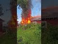 🔥🐝 Aednik Harri Poom lubab talve kasvuhoones üle elada, kui maja korda ei saa.#postimees #bees #fire