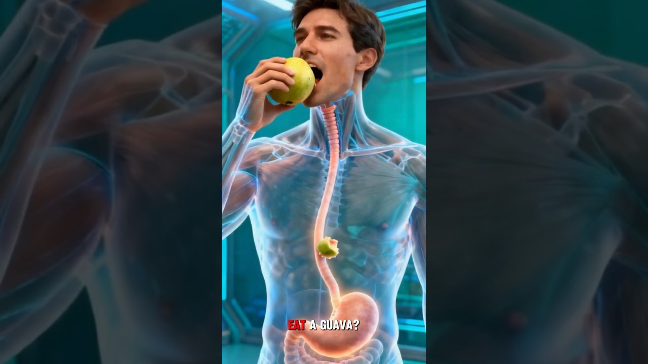 Guava Vitamin C Absorption Explained | 3D Medical Animation