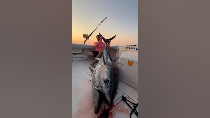 Sabahın en büyülü anında gelen dev orkinos 😌 #fishing #orkinos #fish #tunafishing
