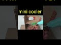 mini cooler from cardboard || school science project ||