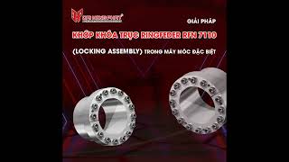 GIẢI PHÁP KHỚP KHÓA TRỤC RINGFEDER RFN 7110 (LOCKING ASSEMBLY) TRONG MÁY MÓC ĐẶC BIỆT| ĐẠI HỒNG PHÁT