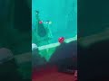 Rayman Legends