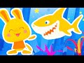 Baby shark  chansons danses bb enfants  comptines titounis