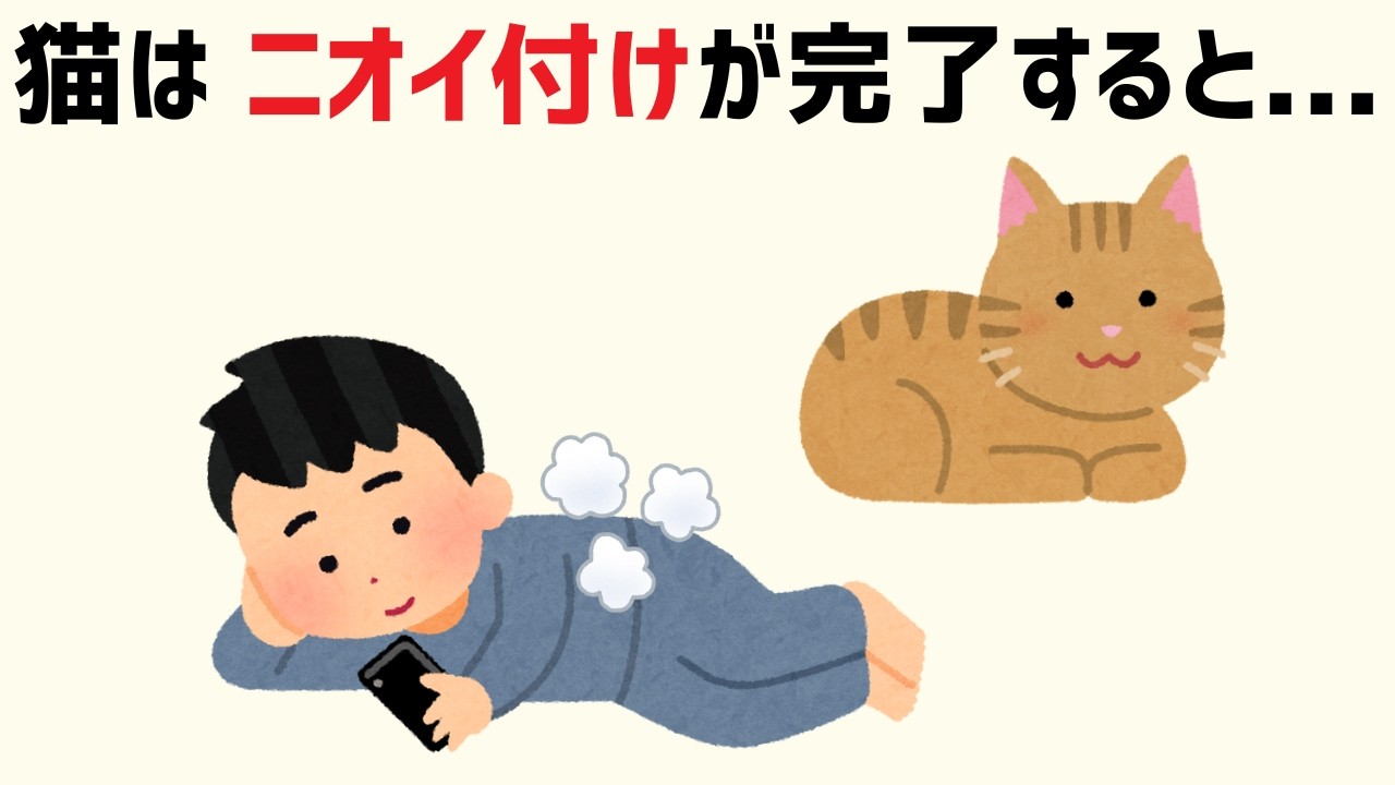 猫好き必見！【猫の雑学111選】99%の人が知らない驚きの豆知識