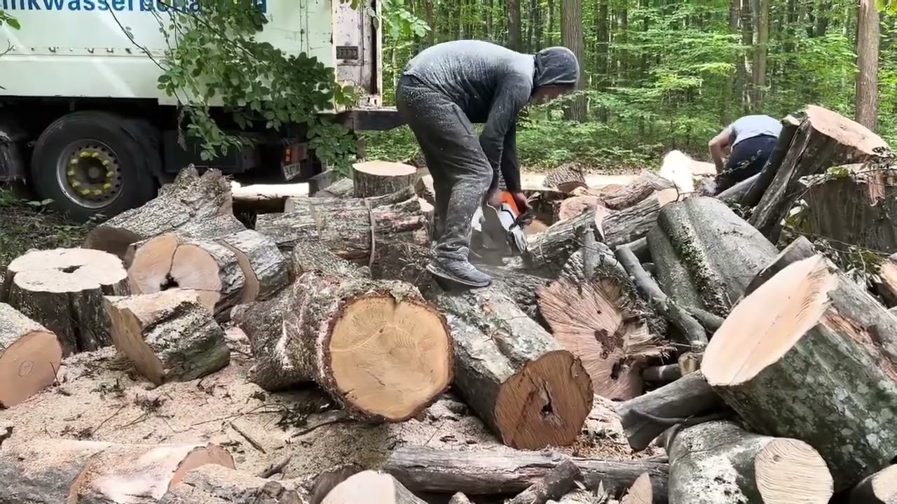 Chainsaw Mastery – Breaking Down the Toughest Wood