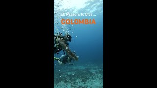 Diving Colombia's Providencia Island