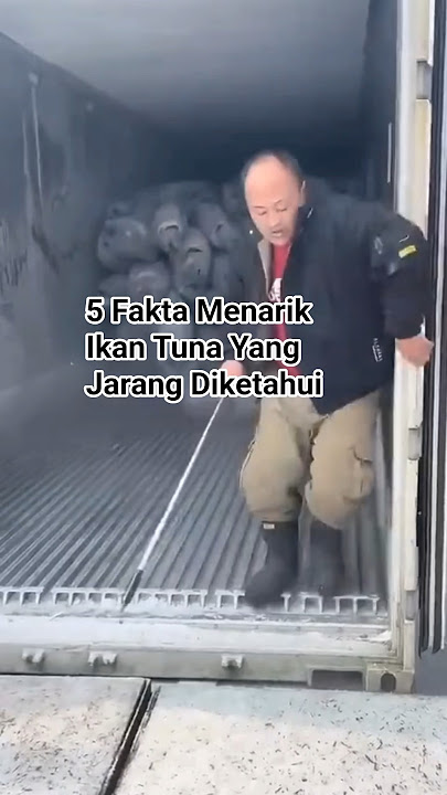 5 Fakta Menarik Ikan Tuna Yang Jarang Diketahui #trendingshorts #ikantunabesar #videoviral