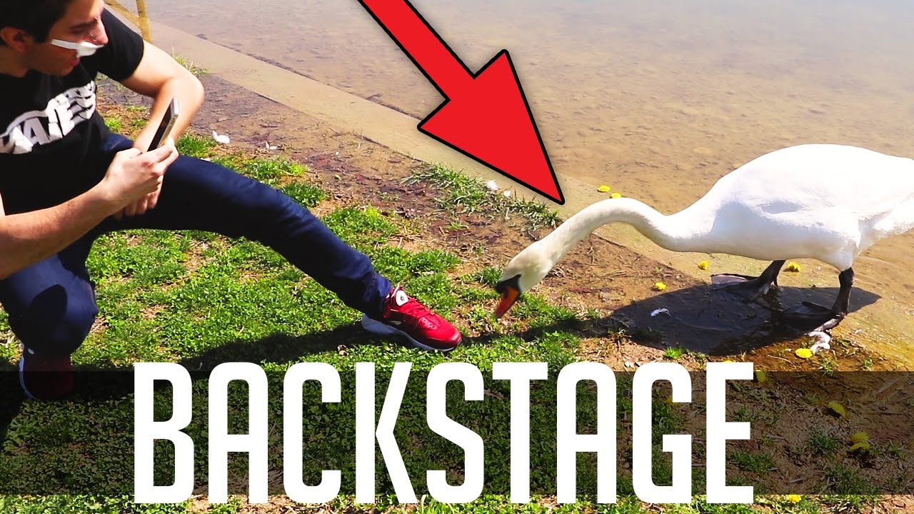 Mates - L'inizio (Backstage)