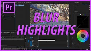 blur premiere adobe pro