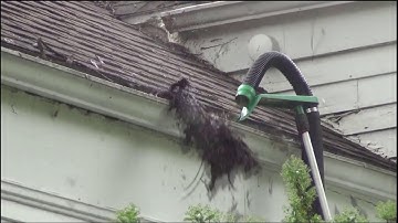 Gutter Viper: Available at www.ViperToolCompany.com   .