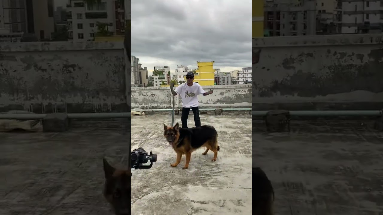 Kisse_Shooting Time Rp Esan