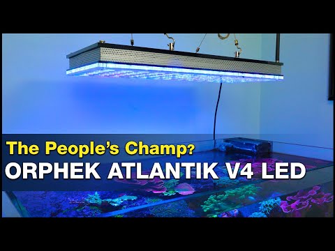 How&rsquo;d they do that!? Secrets behind the Orphek Atlantik V4 and the successful reefers who use them.