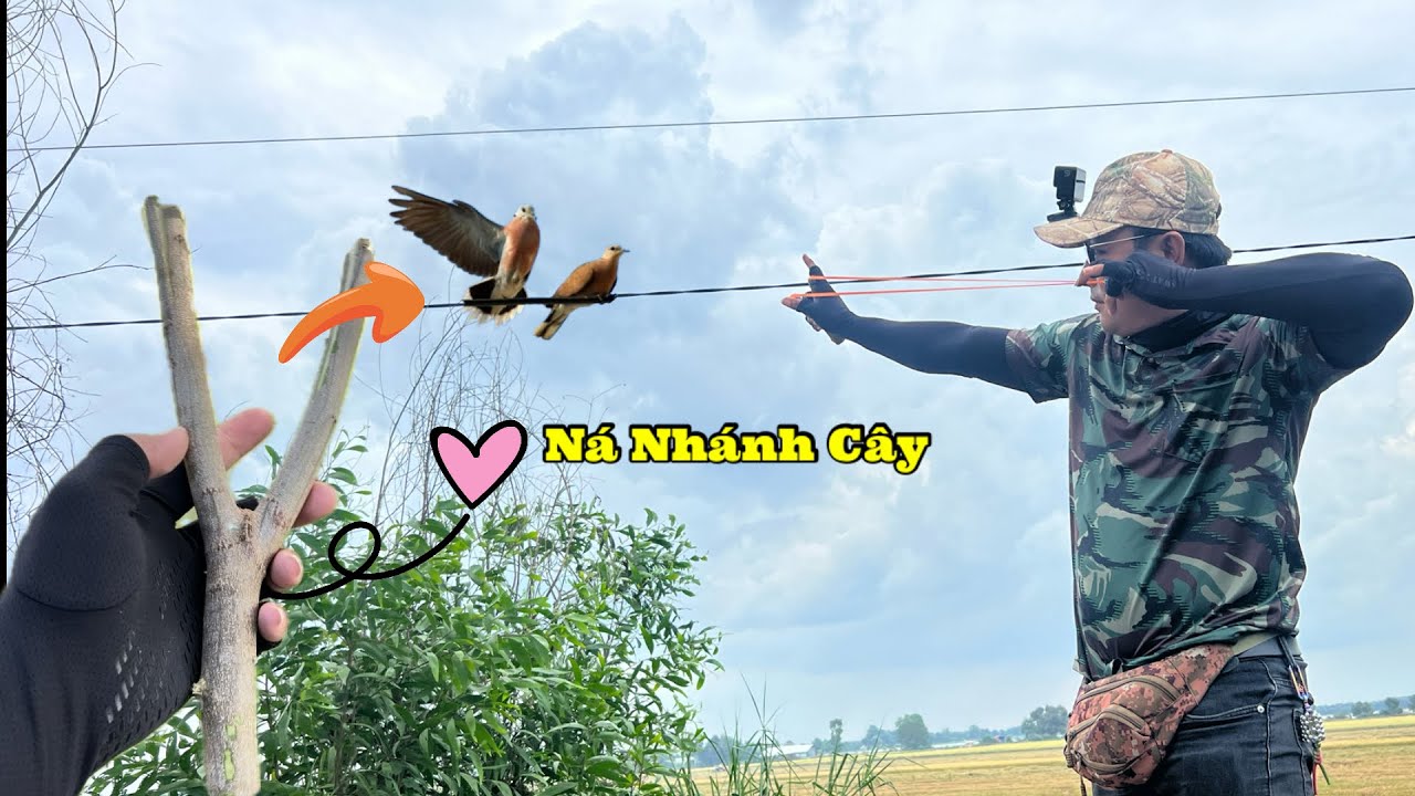 Slingshot M72 - Thử Đốn Nhánh Cây Làm Ná 0 Đồng Đi Săn Và Nướng Dân Dã Ngoài Đồng Ngon Cực