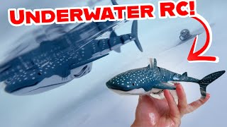 I Found an RC SHARK that Actually Drives Underwater!