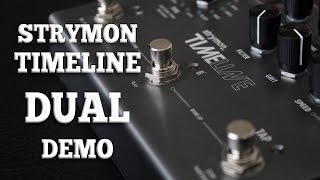 Celebrity Strymon Timeline - Dual Net Worth