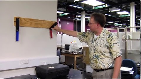 The "Butterfly Effect" Explained | Guilford College