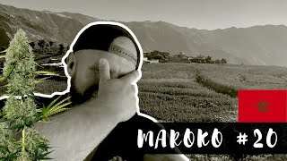 MOROCCO - SCARY TRIP - Ketama - # 20