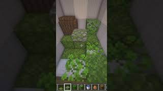 Minecraft Frog Aquarium🐸 #shorts