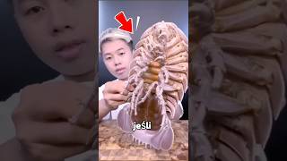 JEŚLI KARALUCH WEJDZIE CI DO…💀🪳