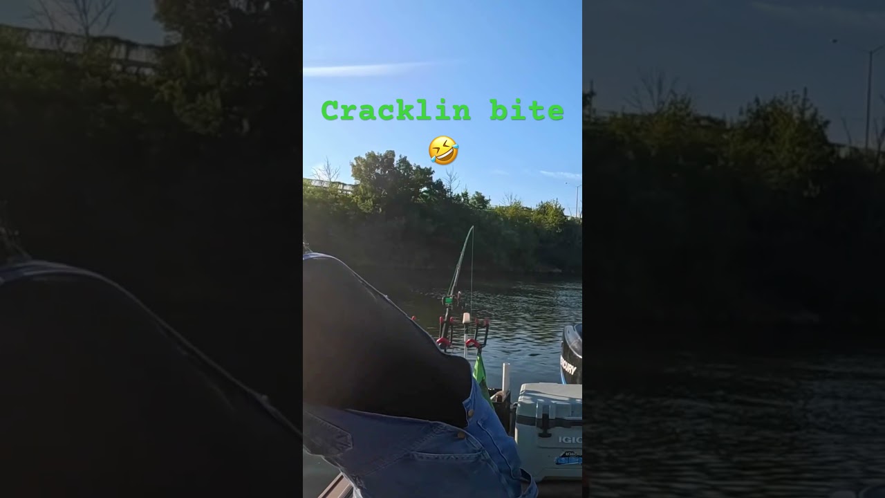 Клёв на треску🤣 