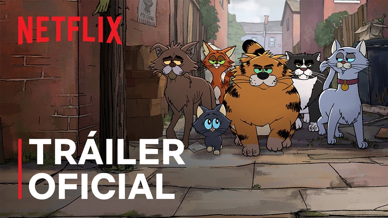Gatos callejeros, de Ricky Gervais | Tráiler oficial | Netflix