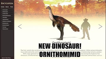 Saurian Patch 1.6.2286