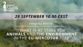 EU-Mercosur Free Trade Agreement