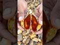 You Won’t Believe What Was Hidden Inside This Stone
