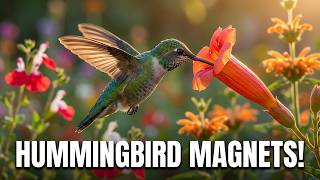 10 Great Hummingbird Plants You Can Buy Right Now