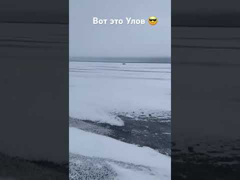 ЛОВИМ РЫБКУ, ЛАДОЖСКОЕ ОЗЕРО #рыбалка #окунь #2024#девушканарыбалке#зима#дианадикая#diana-wild-fth