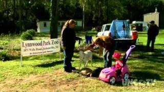 NC WEEKEND | Onslow County Farmers Market | UNC-T