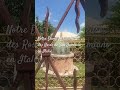 Notre Dame Miraculeuse des Roses de San Damiano en Italie 6 juin 2026