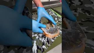 О боже, папа, не запускай собаку в грязь! 😳 #Catsoftiktok #CatLovers #cat #cute #FunnyCats #catcarto