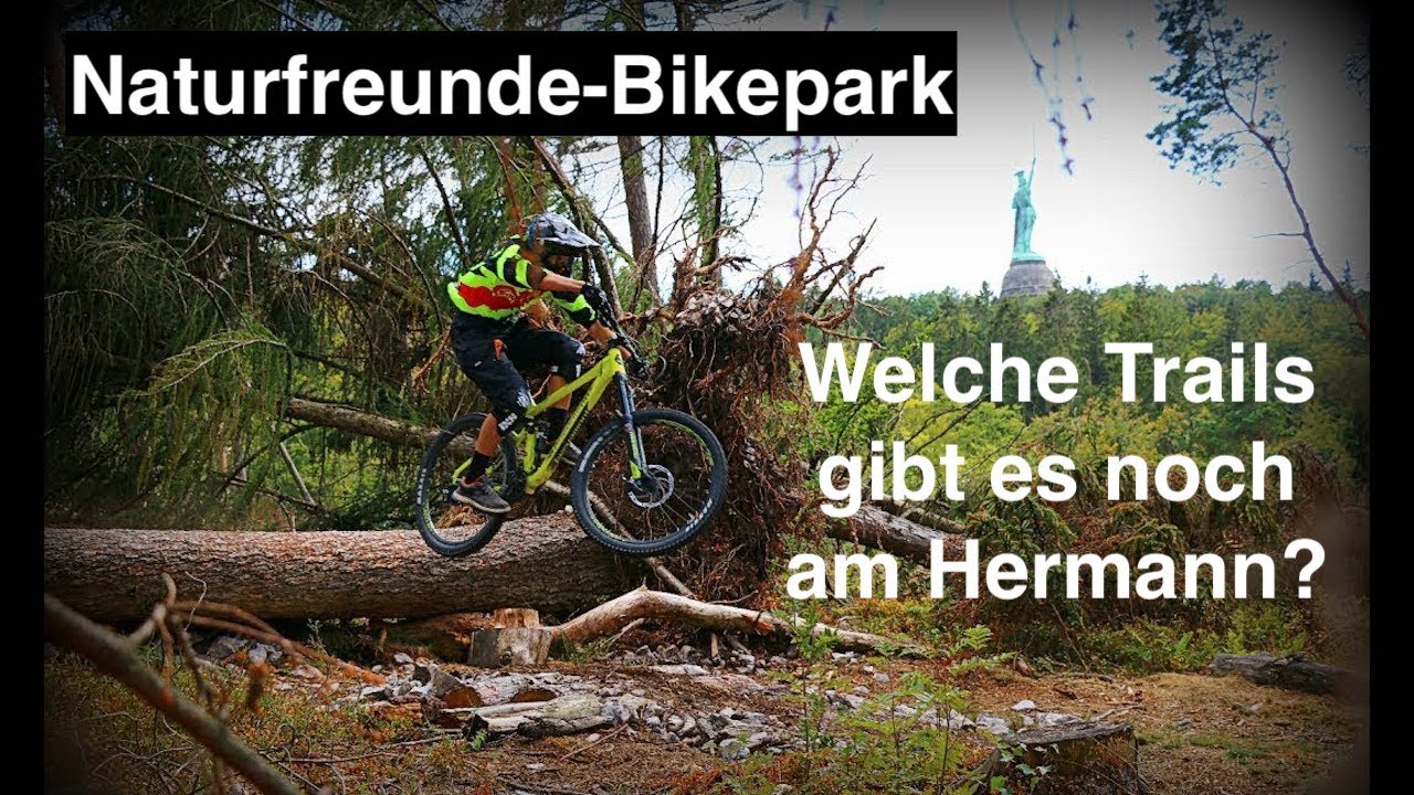 Auf Trail-Entdeckungs-Tour am Hermann in Detmold zum Naturfreunde-Bikepark