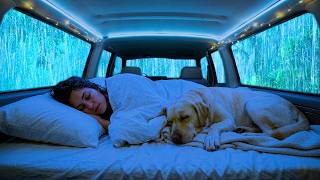 Rain Sounds for Sleeping - Soft Thunder and Natural Rain in a Cozy Car for a Calm Night screenshot 5