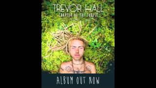 Trevor Hall - Walk Quietly (With Lyrics) chords