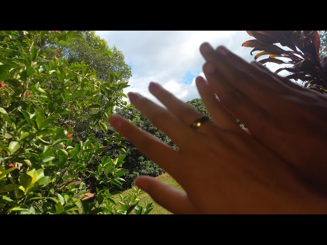 Outdoor homemade ASMR / ASMR in nature (ASMR Brazil - ASMR BR - ASMR Brazilian Portuguese)