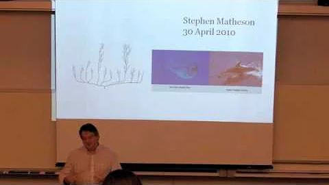 Steve Matheson - Convergence and chance in the con...