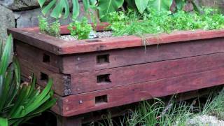 How to create an aquaponic pond system