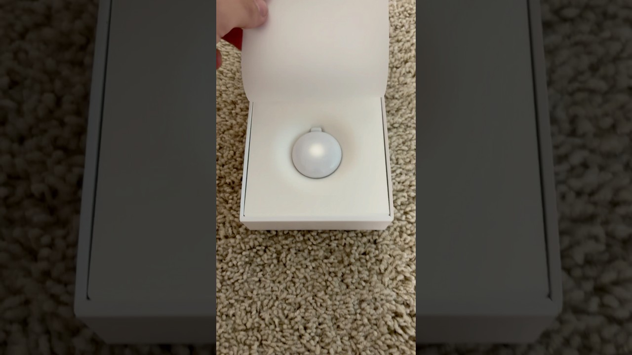 Ai Friend Pendant unboxing! 